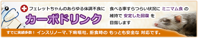 ご存知ですか？古い手作りスタイルではとうてい不十分です！ おすすめ基本サプリメント