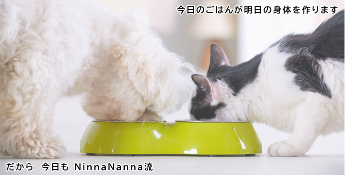 NinnaNanna流手作りごはん