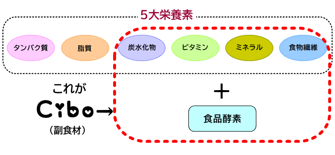 ニンナナンナ/チーボ