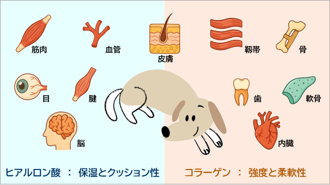 クレスタ　コラーゲンとヒアルロン酸