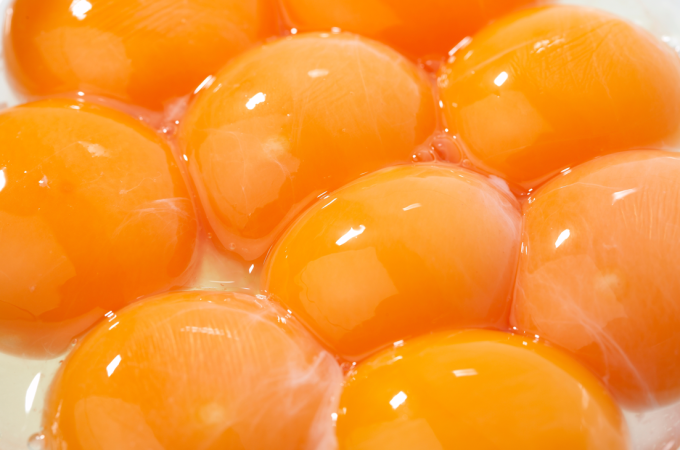 マンマフォルツァ　フォルケッタ