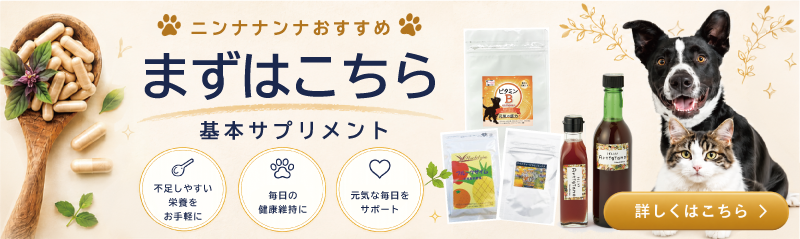 NinnaNanna流手作りごはんの補助栄養