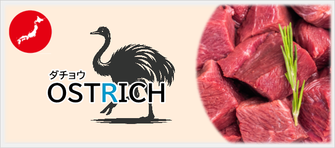 NinnaNannaDelica　ダチョウ